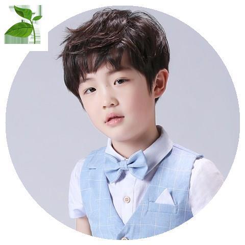 拍照道具小童蓬松头发短卷发头套小孩男童假发帅气韩版男孩短发