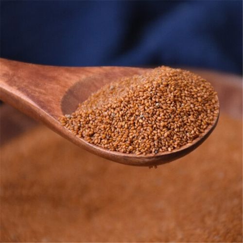 葶苈子野生麦蒿种子中药材亭力子葶苈籽500g克包邮正品特级批代发