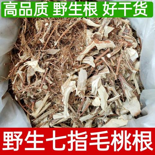 福建七指毛桃根干货煲汤材料特级野生七齿山狗善子睾丸非五指毛桃