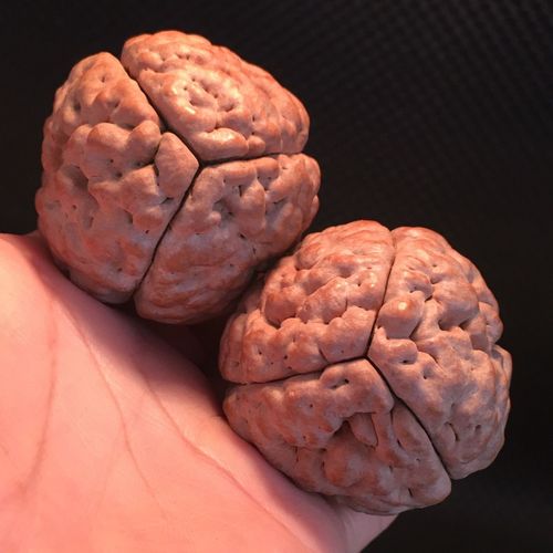 文玩核桃 脑纹三瓣大金刚恐龙蛋铁锤铁蛋钢炮菩提手球鬼脸驴打滚古玩