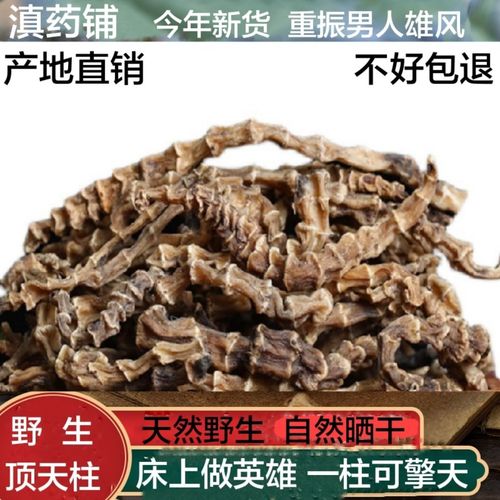 顶天柱 阳鞭劲:云南苗家腾冲特产野生中草药泡酒料中药材药酒料