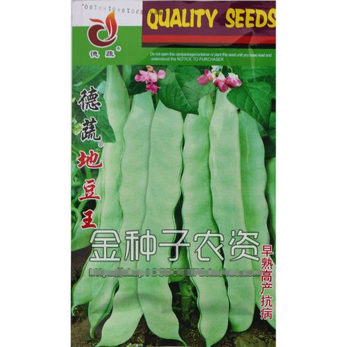 德蔬地豆王 早熟高产抗病 四季豆芸豆春季种 无架地豆种子菜豆