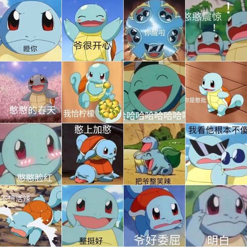 杰尼龟憨憨神奇宝贝搞笑聊天呆萌可爱斗图表情包160张