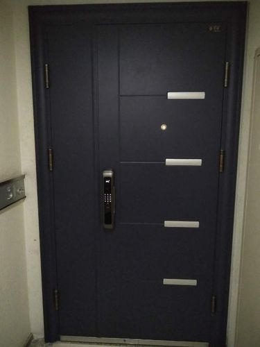 霍思特防盗门定做非标大门对开子母门楼宇公寓大门警建