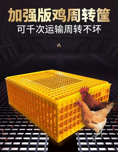 运输鸡笼加厚成鸡周转箱特大周转筐鸭鹅鸽子笼家用鸡筐塑料