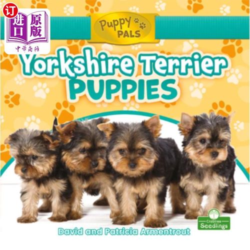 【中商海外直订】yorkshire terrier puppies