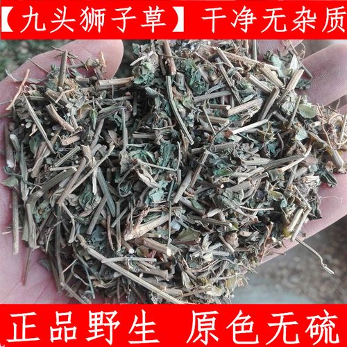 中药材九头狮子草 接骨草 铁焊椒绿豆青中草药九头狮子草500g新货