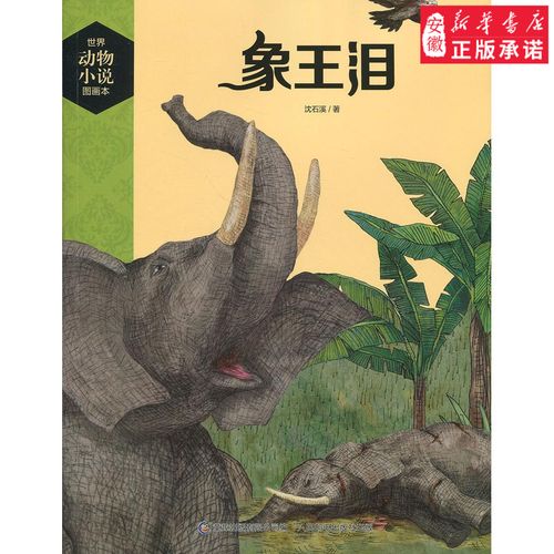 世界动物小说图画本象王泪儿童文学沈石溪9787115471710安徽新华书店