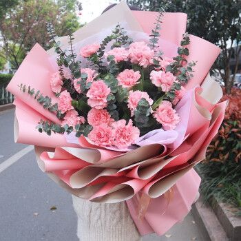 19朵粉色康乃馨花束-送姐姐