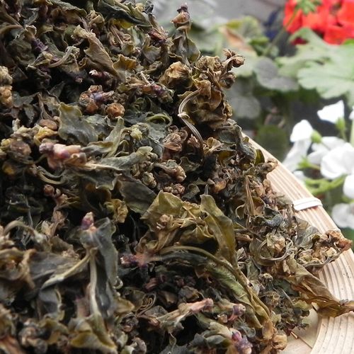 土特产龙白芽菜山野菜龙柏芽农副产品山货 将军菜 花儿菜