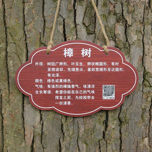 树木标识牌 树牌花草牌亚克力植树节植物挂牌树木认养介绍标识提示牌