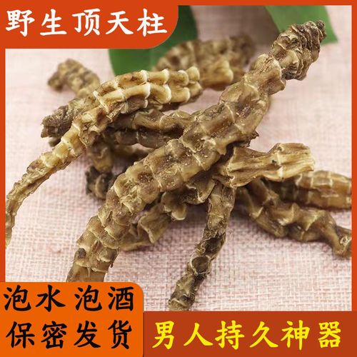 正品野生续阳草500g新货中药材回春草顶天柱不老草男士泡酒泡茶料