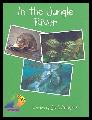 【预售】in the jungle river