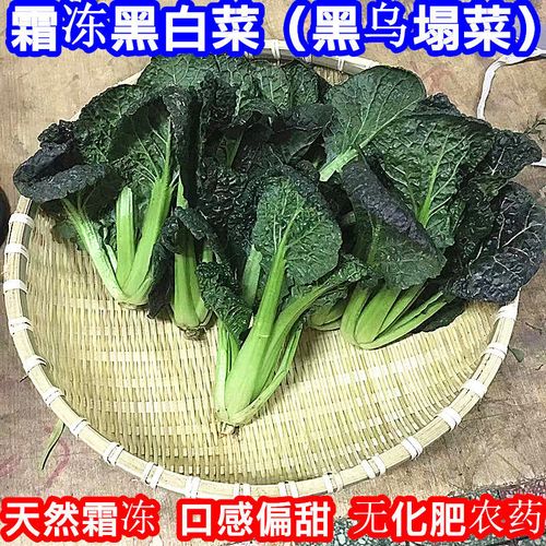 黑白菜新鲜黑心乌黑菜心菜泡泡青菜黑油白菜乌菜黑叶白菜火锅青菜