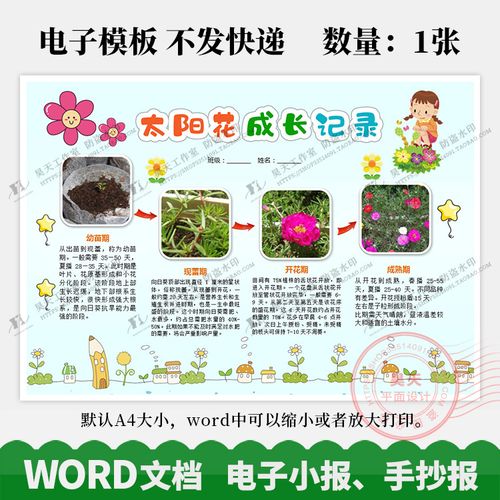 植物生长观察日记太阳花成长记录电子小报手抄报word模板wk094