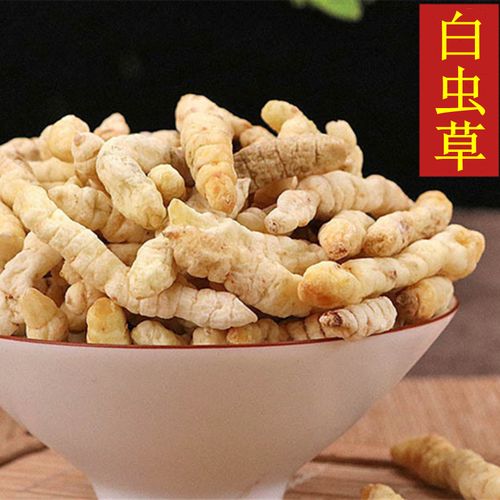 中药材 白虫草 别称:土冬虫草 白冬虫草 肺痨草 地蚕 500克 统