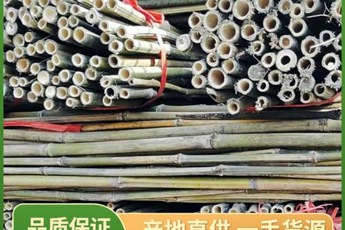 0/件 竹竿 批发菜架竹,旗杆!植树杆!大棚竹杆!