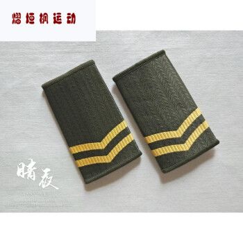 预备役全套 红色记忆纪念品九九式99式陆套式肩章肩牌 退役老兵收藏