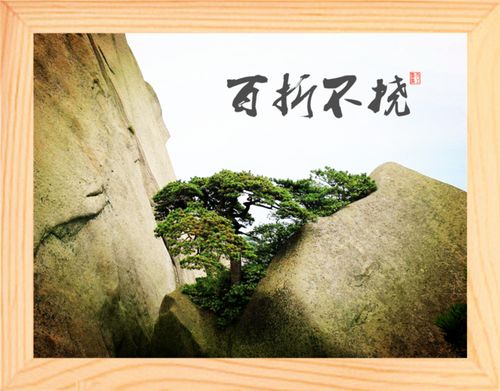 营养书画 天然实木有框画简约装饰画励志画挂摆件 百折不挠