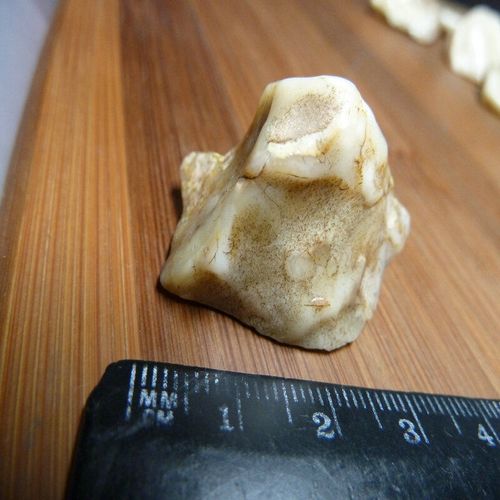 5495新疆罗布泊地表蛋白石天然奇石原石