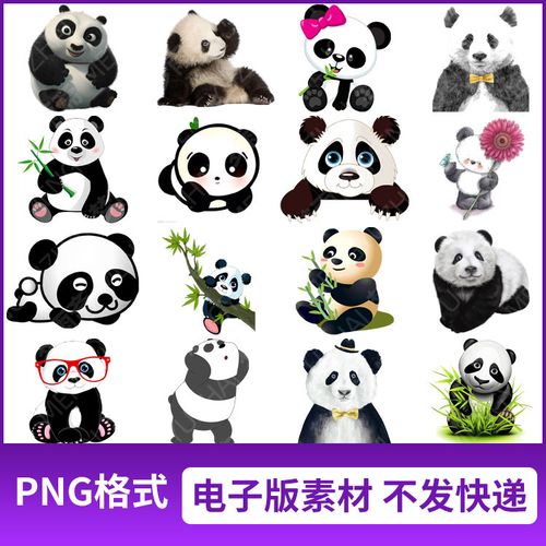 png格式手绘国宝可爱的大熊猫插图图片免抠透明元素设计素材
