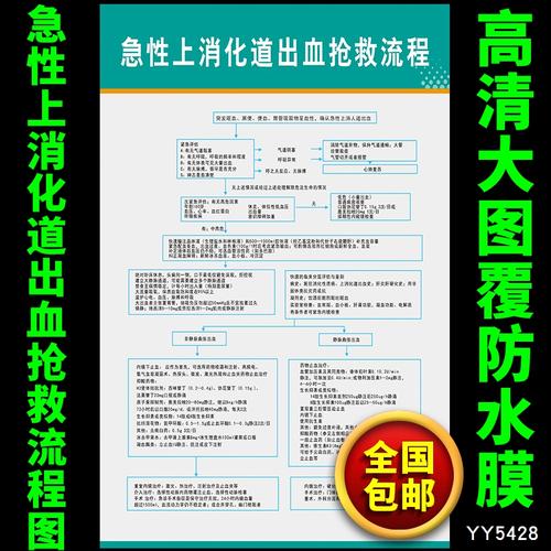 急性上消化道出血抢救流程知识挂图 医院急救处理程序宣传海报画