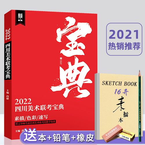2022四川美术联考宝典敲门砖段健素描头像素描静物色彩静物风景人物