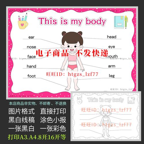 英文英语body身体部位手抄报思维导图儿童画女版黑白涂色小报a443
