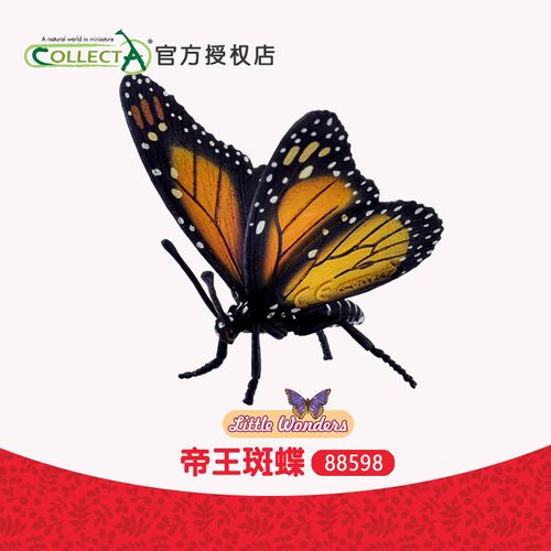 科普认知 正品英国我你他collecta帝王斑蝶88598昆虫动物儿童玩具
