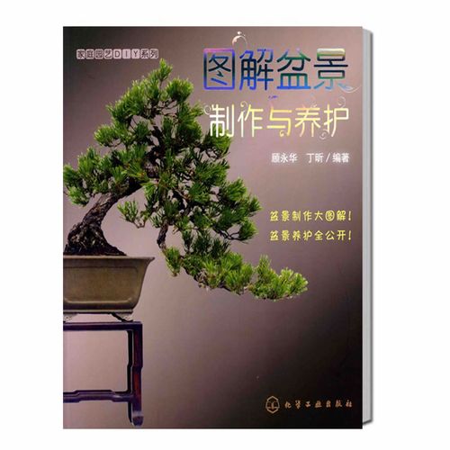 家庭园艺diy系列 图解盆景制作与养护 顾永华 养花书籍 盆栽制作教程