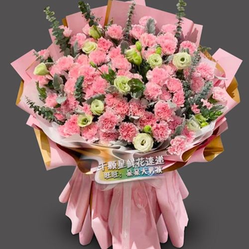 66朵康乃馨花束妈妈生日鲜花同城速递北京丰台大兴花店朝阳送鲜花