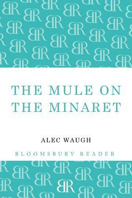 预订 the mule on the minaret: a novel abo. [9781448200757]