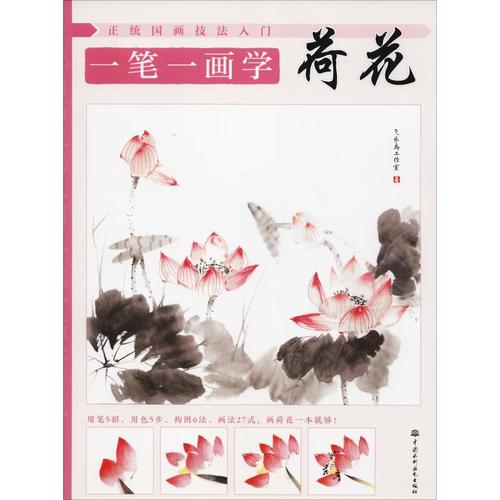 一笔一画学荷花