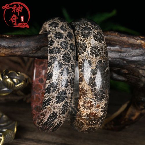 天然珊瑚玉化石手镯大彩花果冻化冰种菊花石首饰直播间情侣民族风