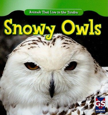 【预订】snowy owls