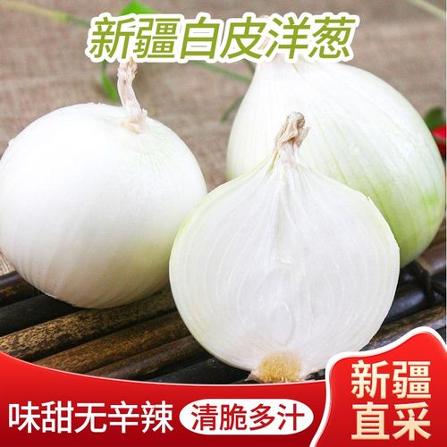 新疆白皮牙子白洋葱红洋葱新鲜蔬菜生吃凉拌整箱5斤