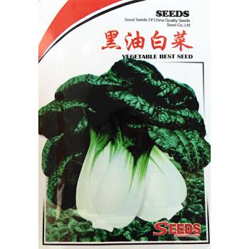 禾花楹蔬菜种子 黑油白菜种子 黑叶小白菜种 黑白菜种子 阳台盆栽四季
