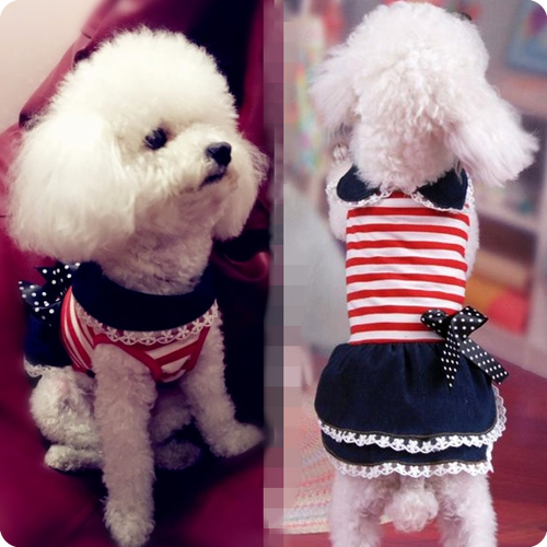 小狗公主裙新款泰迪比熊春夏装裙子贵宾博美犬薄款夏装狗衣服猫装