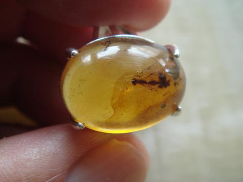 缅甸琥珀天然金珀物象虫珀昆虫戒指58