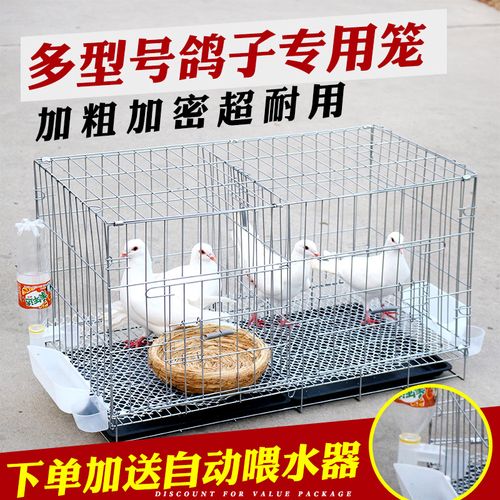鸽子笼子鸽子配对笼养殖笼大号鸽子笼家用鸟笼鸽子用品 银色50*35*42