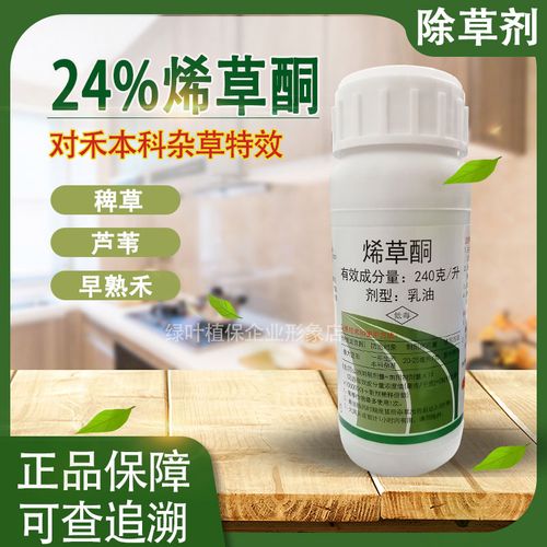 先达稳收24%烯草酮芦苇除草剂稗草禾本科杂草特效正品农药