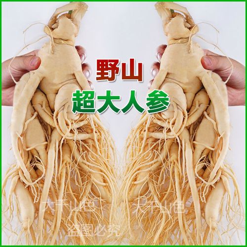 【正宗长白山新鲜人参】高品质足龄东北特产人参泡酒煲汤人参批发