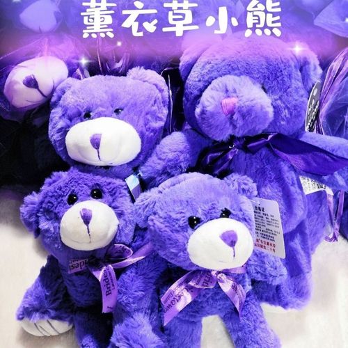新疆伊犁薰衣草小熊公仔毛绒玩具抱抱熊包邮可微波加热暖宝宝