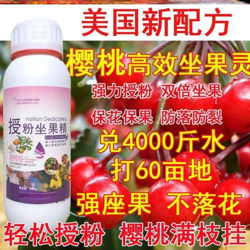 大樱桃授粉药坐果精樱桃专用授粉坐果灵樱桃双倍膨大防裂保花保果