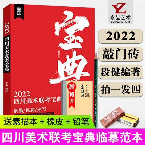 段健【11年老店】四川美术联考宝典2022敲门砖素描头像素描静物色彩