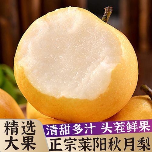正宗山东莱阳秋月梨 丰水梨子10斤大果脆甜应当季新鲜甜雪梨秋月水果