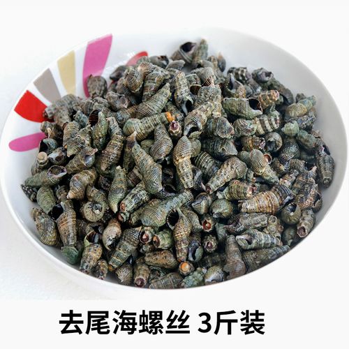 去尾尖螺海瓜子鲜活新鲜海捕海螺丝大海锥海鲜小海螺钉螺石螺海抽