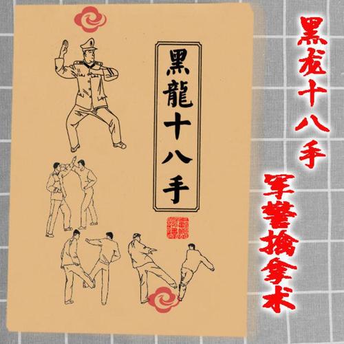 黑龙十八手擒拿术军体拳格斗术组合术反擒拿招式训练实战功法