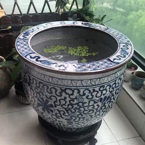大号特大荷花种树花盆陶瓷鱼缸睡莲盆缸大口径青花瓷老式水缸庭院