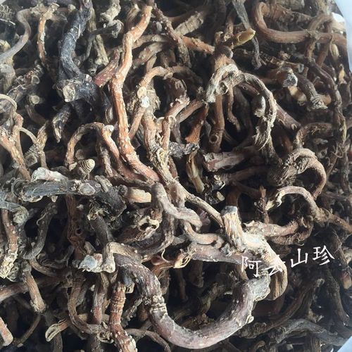 广西金秀大瑶山传统滋补品其他农家土特产干货玉竹尾参250g直销